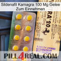 Sildenafil Kamagra 100Mg Oral Jelly new06
